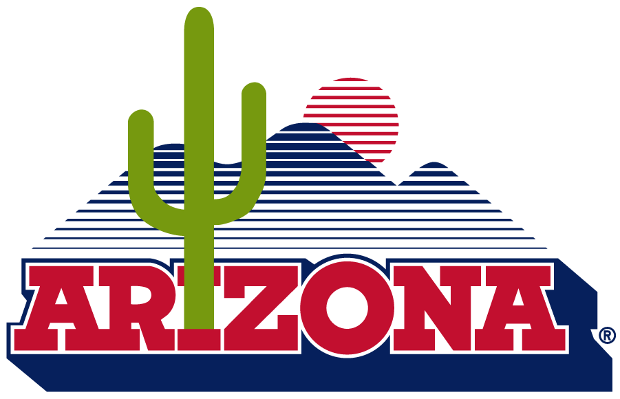 Arizona Wildcats 1989-2013 Secondary Logo iron on transfers for clothing